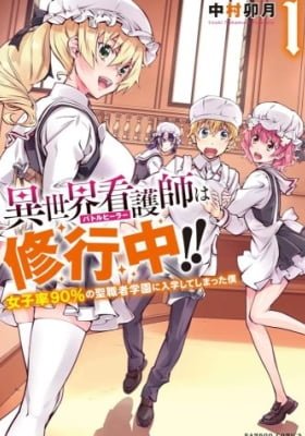 Battle Healers: The Adventure Tale of a Boy with Big Dreams