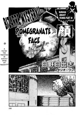 Pomegranate Face