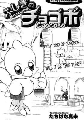 Mysterious Chocobo
