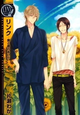 Link ~Boku to Kimi no Aida~