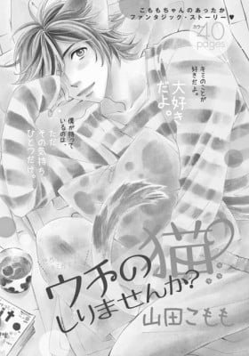 Uchi no Neko Shirimasenka?