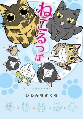 Cat Melting Pot
