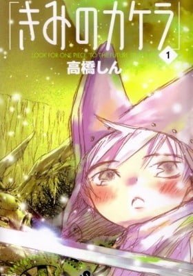 Kimi no Kakera