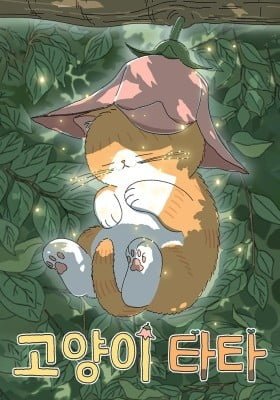 Tata the Cat