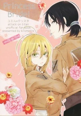 Shingeki no Kyojin dj - Princess Bride!