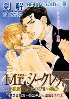 Mr. Secret Floor Series