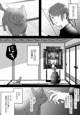 Neko to Ko to Haha