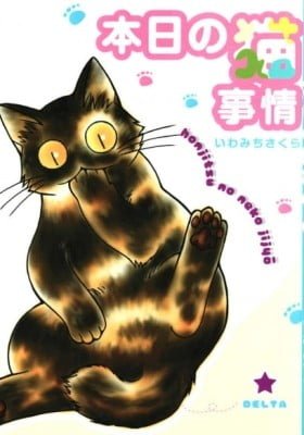Today's Cat Matters