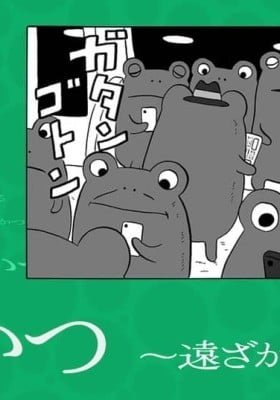 A Frog's Life