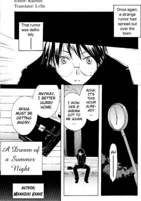 Tsukihime - Dream of a Summer Night