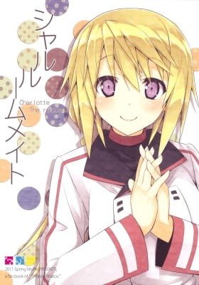 IS dj - Charlotte Roommate