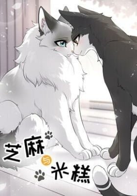 Sesame and Rice Cake (Colored)