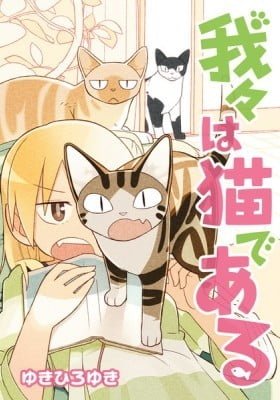 We Are Cats (Colored)