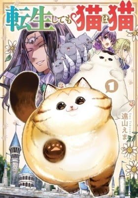 A Story about a Cat Reincarnated in a Different World Where There are no Cats.