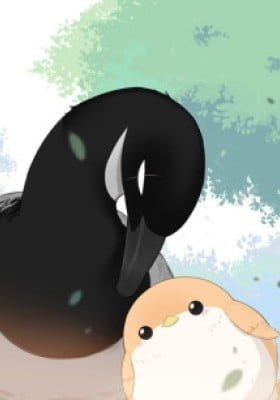 Southern Bird and Northern Bird (Colored)