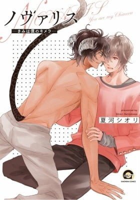 Novalis -Kimi wa Boku no Chimera-