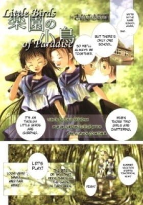 Little Birds of Paradise (Colored)