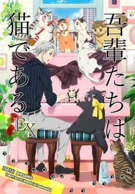 Yuri!!! on Ice dj - We Are Cats