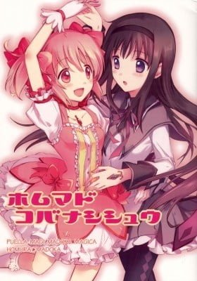 Mahou Shoujo Madoka Magica dj - Homumado Kobanashishuu
