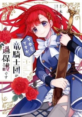 Fuhon'i desu ga, Ryuukishidan ga Kahogo desu