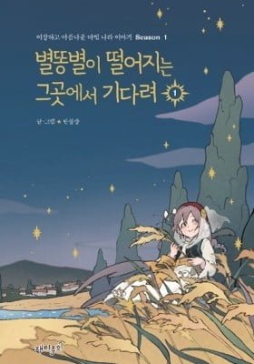 Wait Where the Shooting Star Falls