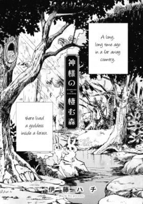 The Forest Where the Goddess Lives