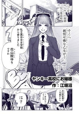 Yankee Koukou ni Ojou-sama (Pre-Serialization)