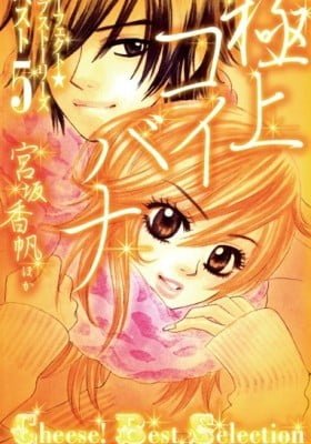 Gokujou Koibana: Perfect Love Stories Best 5