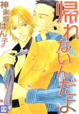 Kaerenai n da yo