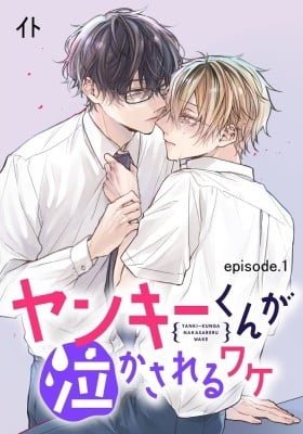 Yankee-kun ga Nakasareru Wake