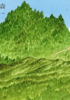 The Millennium Forest (Colored)