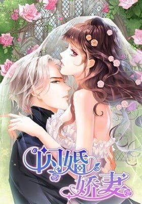 The Beautiful Wife of the Whirlwind Marriage (Colored)