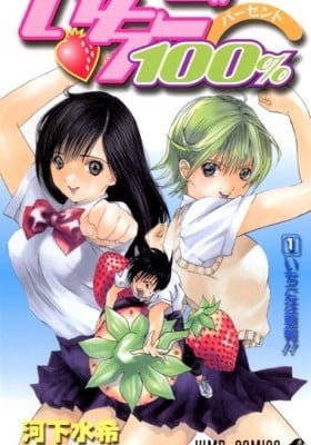 Strawberry 100%