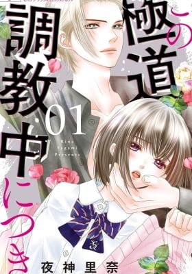 Kono Gokudo Chokyo-chu ni Tsuki