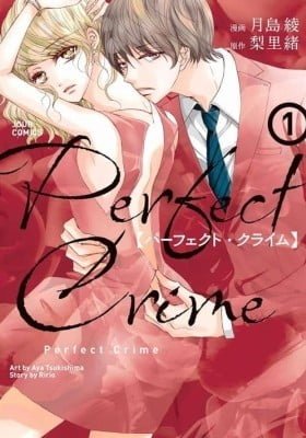 Perfect Crime