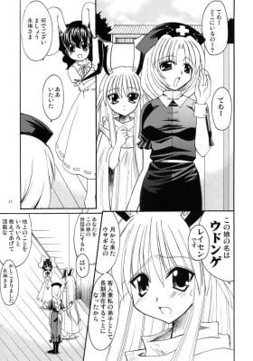 Touhou Project dj - White Rabbit's Long Night