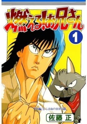 Moeru! Onii-san
