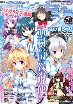 Seiju no kuni no kinjutsukai