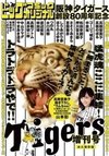Hanshin Tigers 80th Anniversary Special
