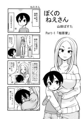Boku no Nee-san