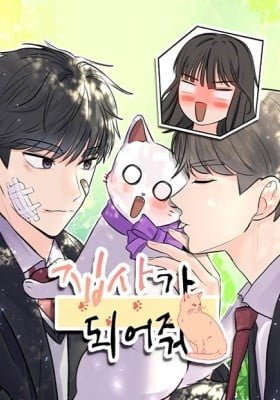 Kiss Meow
