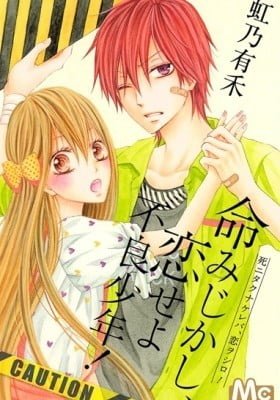 Inochi Mijikashi, Koi seyo Furyou Shounen!