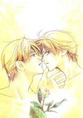 Kiss no Mukou