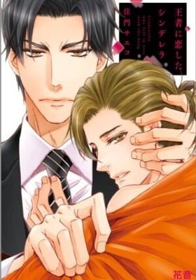 Ouja ni Koi Shita Cinderella