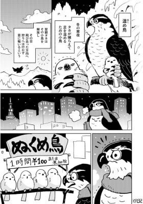 Warmer Birds