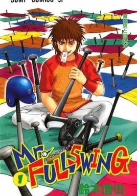 Mr. FULLSWING