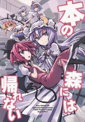 Can't Return to the Forest of Books (Touhou Project)