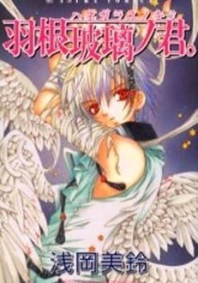 Glass Wings