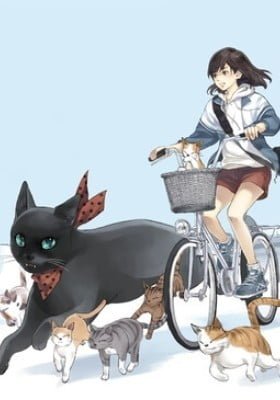 Three Cat Cookies (Colored)