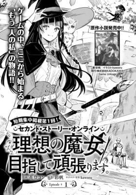 Second Story Online: Aiming To Become The World's Number 1. Ideal Witch